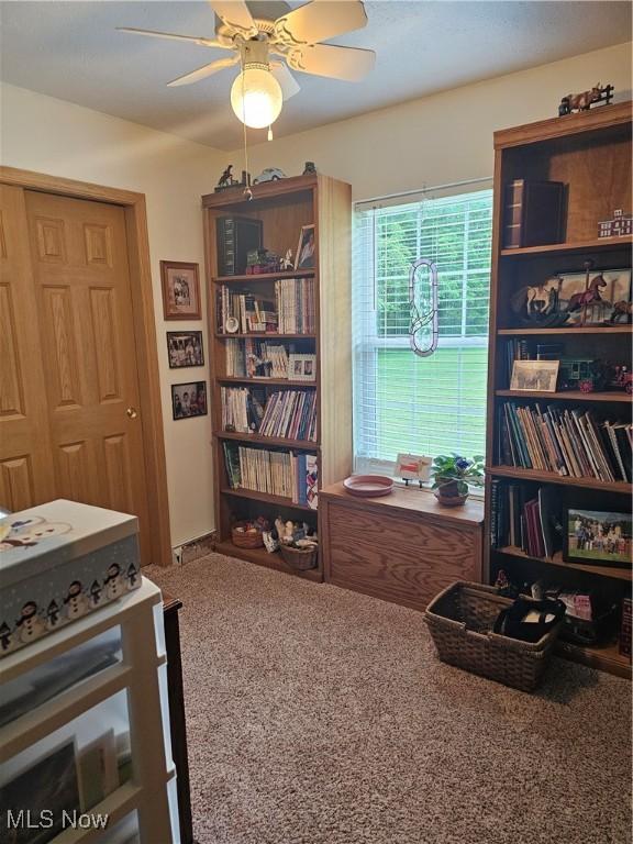 3925 N Wedgewood Dr, Mcconnelsville, OH 43756 - carpeted office space with ceiling fan