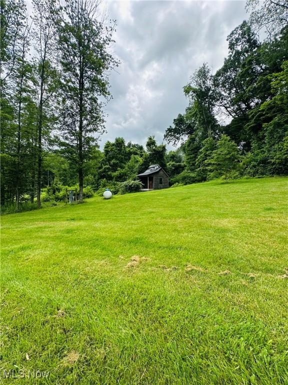62063 Savage Rd, Cambridge, OH 43725 - view of green lawn