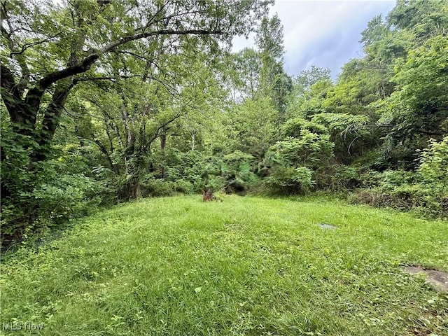 165 Killwell Run Rd, Marietta, OH 45750 - view of yard with a view of trees