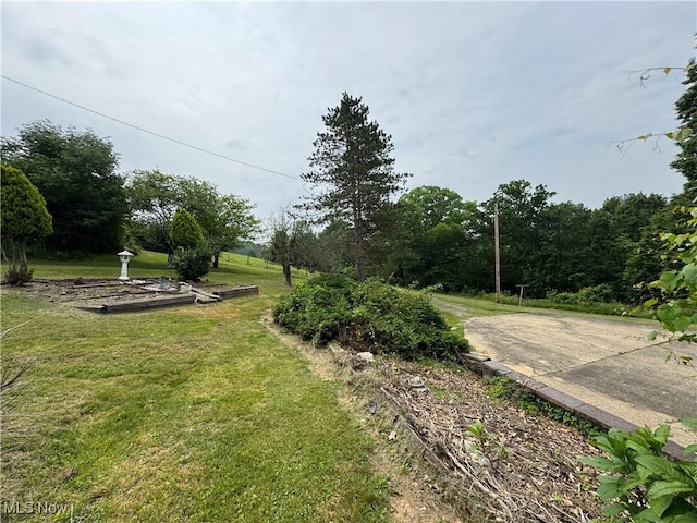 1281 Township Road 129, Adena, OH 43901 - view of green lawn