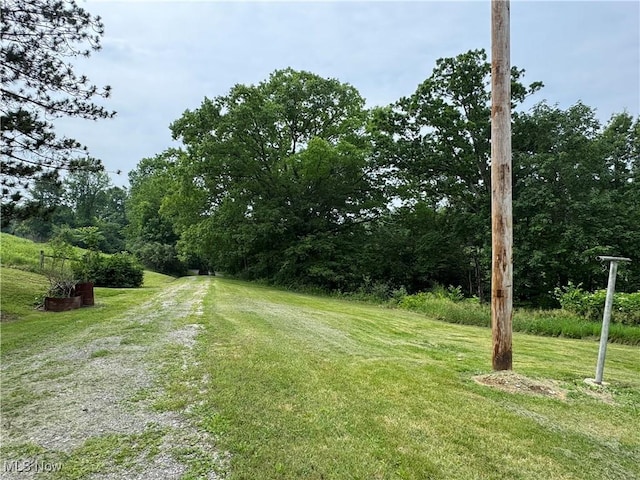 1281 Township Road 129, Adena, OH 43901 - view of green lawn