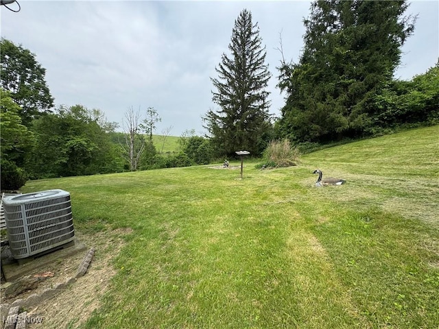 1281 Township Road 129, Adena, OH 43901 - view of grassy yard
