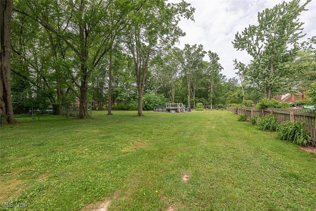 4050 Walter Rd, North Olmsted, OH 44070 - view of yard