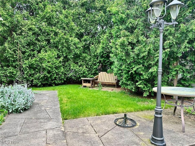 25 W Water St, Hubbard, OH 44425 - view of green lawn