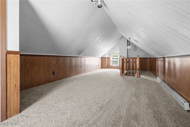 275 Fountain St, Akron, OH 44306 - additional living space with wooden walls, lofted ceiling, carpet flooring, and a wainscoted wall