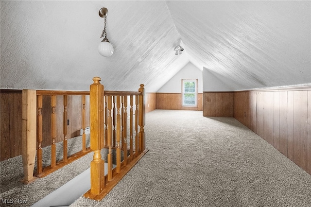 275 Fountain St, Akron, OH 44306 - additional living space featuring lofted ceiling, carpet flooring, wood walls, and wainscoting