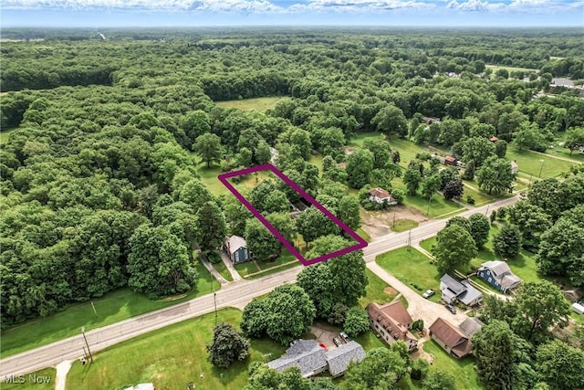 6406 State Route 45, Bristolville, OH 44402 - aerial view of property and surrounding area featuring a forest and property boundaries highlighted