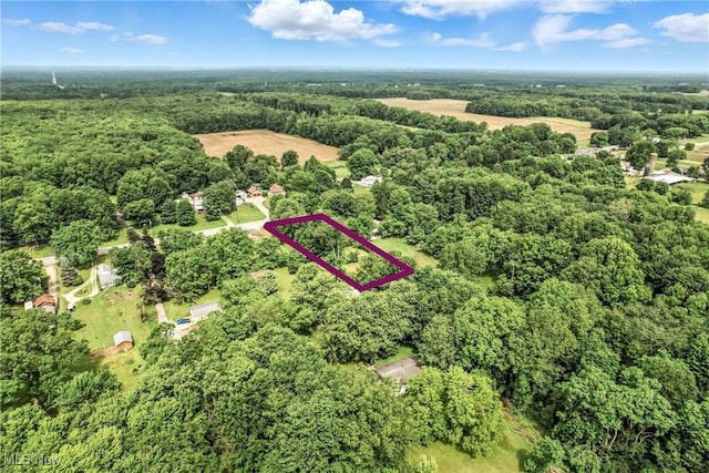 6406 State Route 45, Bristolville, OH 44402 - aerial view of property's location with a heavily wooded area and property parcel outlined