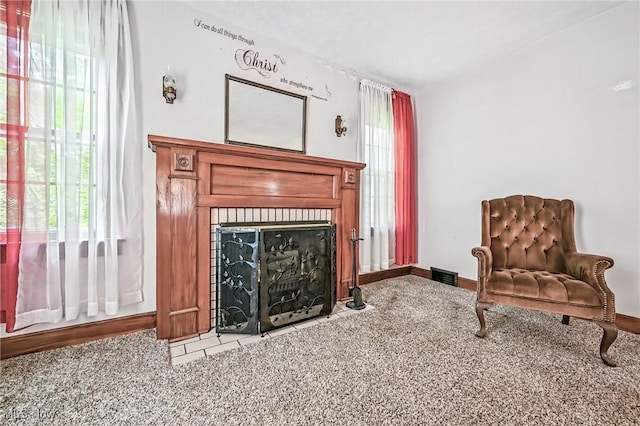 6406 State Route 45, Bristolville, OH 44402 - sitting room with carpet floors, plenty of natural light, and a fireplace with flush hearth