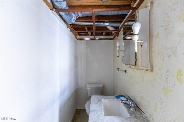 733 Lake Erie St, Conneaut, OH 44030 - below grade area featuring a sink