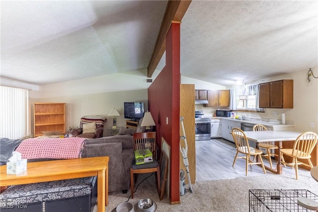 733 Lake Erie St, Conneaut, OH 44030 - living room with a textured ceiling, vaulted ceiling, and light wood finished floors