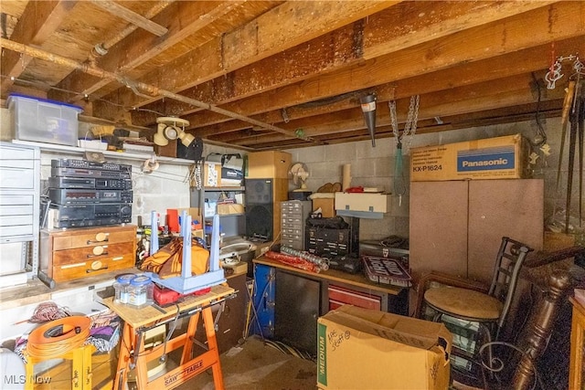 733 Lake Erie St, Conneaut, OH 44030 - view of storage room