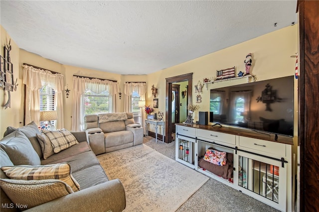 98 W Walnut St, Jefferson, OH 44047 - living area with a textured ceiling and carpet floors