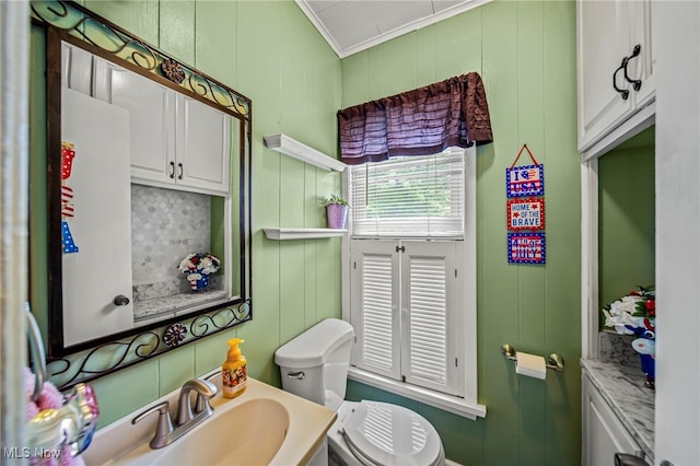 98 W Walnut St, Jefferson, OH 44047 - bathroom with crown molding, vanity, a decorative wall, and backsplash