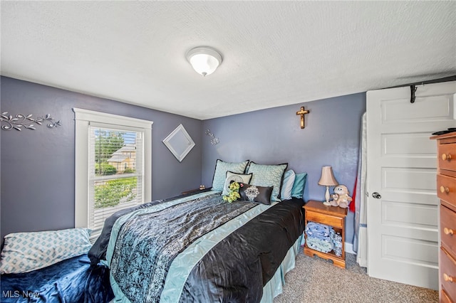 98 W Walnut St, Jefferson, OH 44047 - bedroom featuring a textured ceiling and carpet