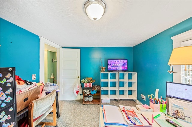 98 W Walnut St, Jefferson, OH 44047 - playroom with carpet flooring