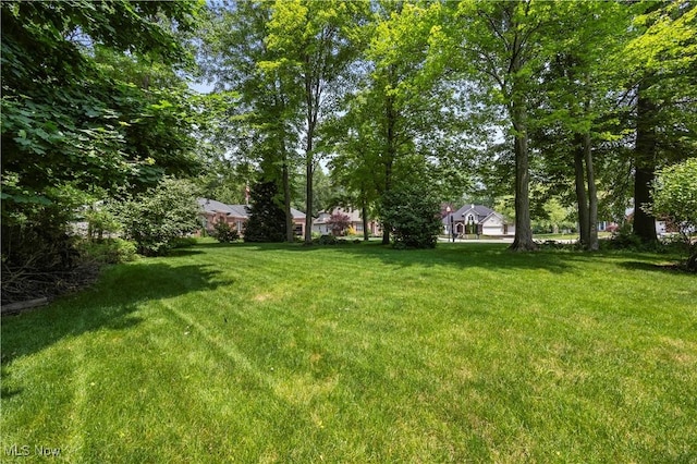 939 Barberry Cir, Amherst, OH 44001 - photo 42