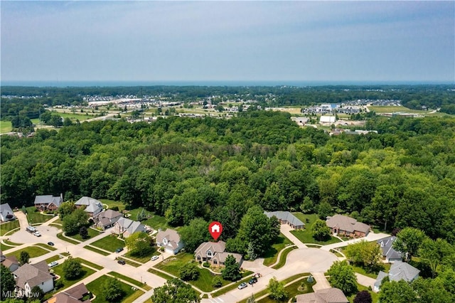 939 Barberry Cir, Amherst, OH 44001 - photo 46