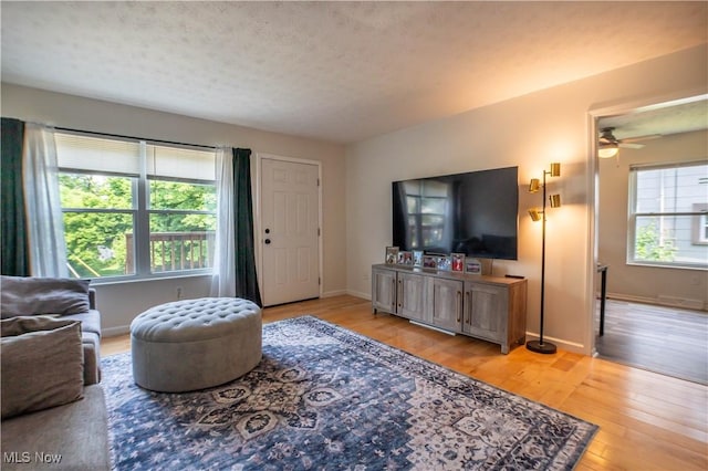 1399 Neptune Ave, Akron, OH 44301 - living room featuring hardwood / wood-style floors, a ceiling fan, and a textured ceiling