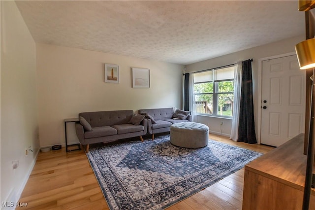1399 Neptune Ave, Akron, OH 44301 - living room featuring light wood-type flooring and a textured ceiling