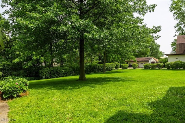 1237 Center St, Ashland, OH 44805 - view of green lawn