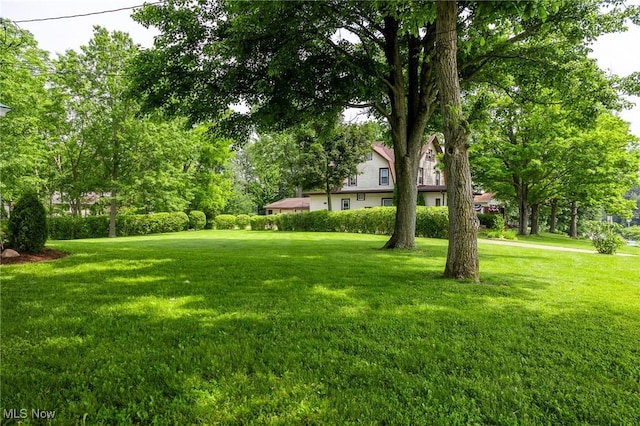 1237 Center St, Ashland, OH 44805 - view of green lawn