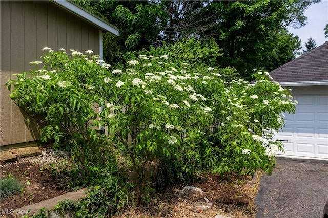1237 Center St, Ashland, OH 44805 - view of side of home featuring a shingled roof and a garage