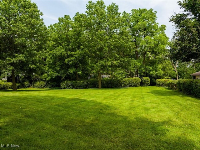 1237 Center St, Ashland, OH 44805 - view of green lawn