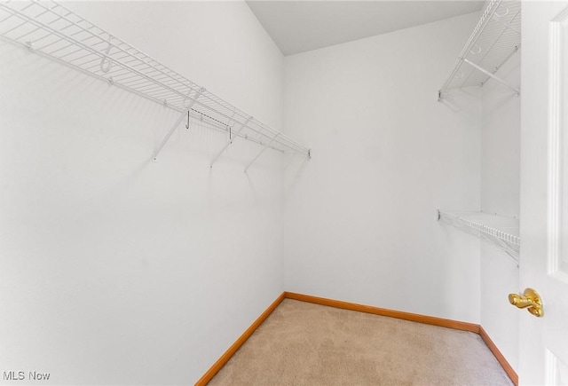 9151 Springfield Rd Unit 1603, Poland, OH 44514 - spacious closet with light colored carpet