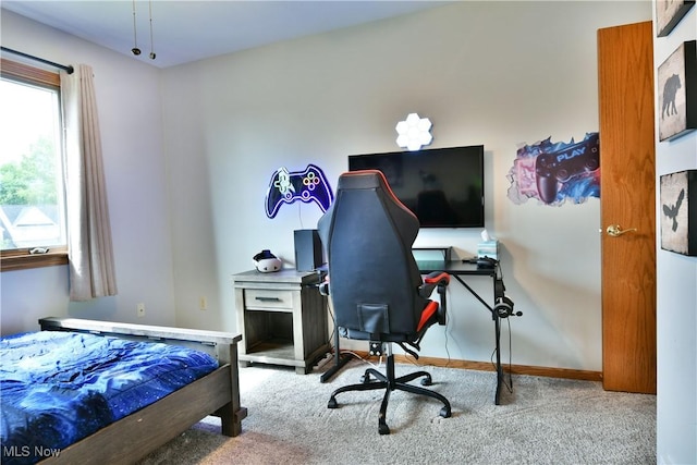 2304 Bianca Ln, Cortland, OH 44410 - bedroom with carpet and a desk