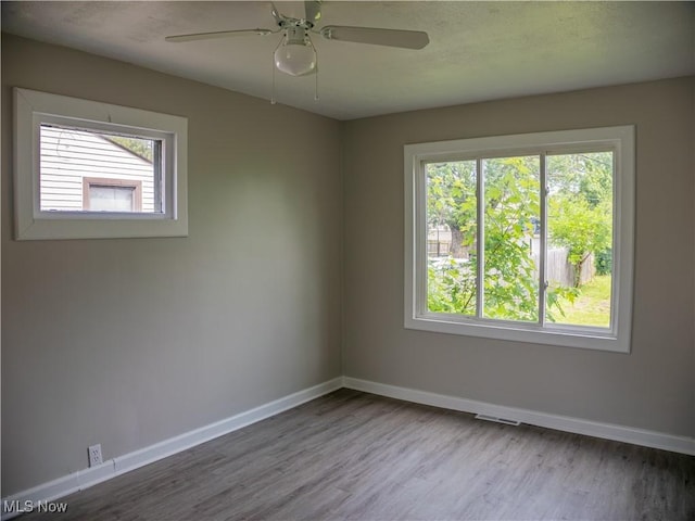 3814 Russell Ave, Parma, OH 44134 - empty room featuring plenty of natural light, wood finished floors, and ceiling fan