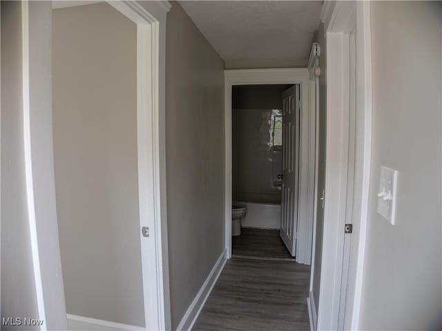 3814 Russell Ave, Parma, OH 44134 - hallway with dark wood-type flooring and a textured ceiling