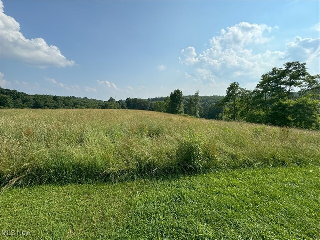 50877 Moore Ridge Rd, Jerusalem, OH 43747 - photo 18