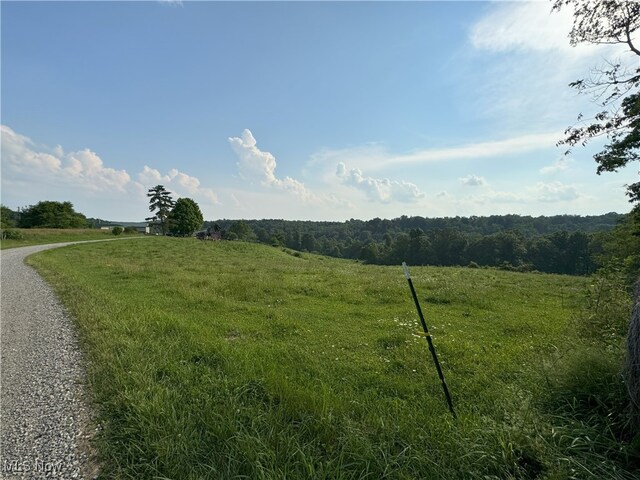 50877 Moore Ridge Rd, Jerusalem, OH 43747 - photo 43