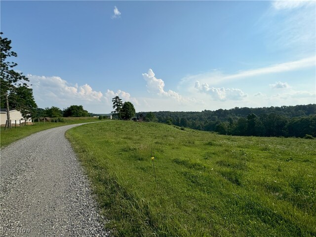 50877 Moore Ridge Rd, Jerusalem, OH 43747 - photo 44