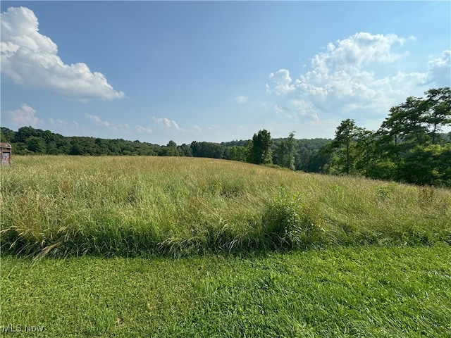 50877 Moore Ridge Rd, Jerusalem, OH 43747 - photo 45
