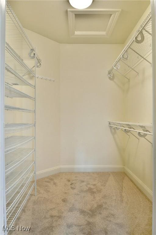3455 Winners Cir, Canfield, OH 44406 - walk in closet featuring attic access and carpet flooring