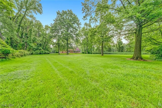 8980 Baldwin Rd, Mentor, OH 44060 - photo 41
