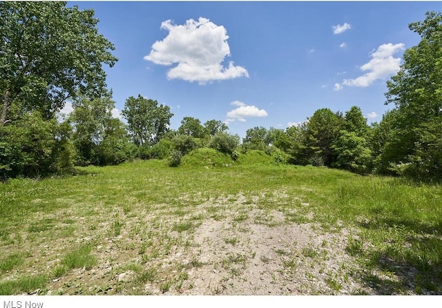 3371 Brecksville Rd, Richfield, OH 44286 - view of undeveloped land