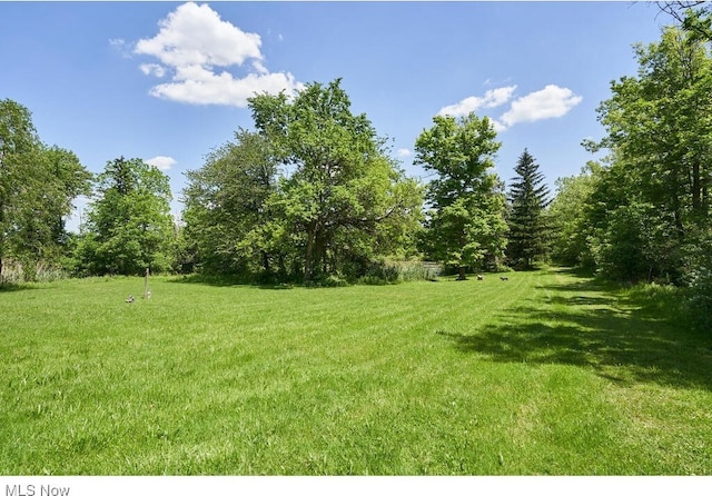 3371 Brecksville Rd, Richfield, OH 44286 - view of green lawn