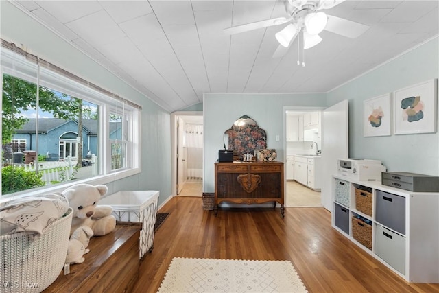 4324 Ormond Dr, New Franklin, OH 44319 - living room featuring wood finished floors, ornamental molding, and a ceiling fan