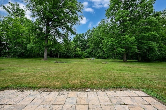 6572 W Smith Rd, Medina, OH 44256 - photo 8