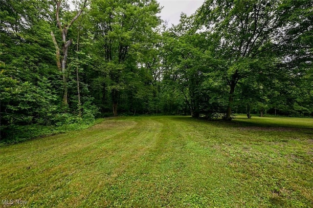 6572 W Smith Rd, Medina, OH 44256 - photo 47