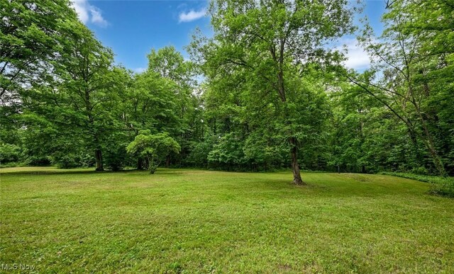 6572 W Smith Rd, Medina, OH 44256 - photo 48
