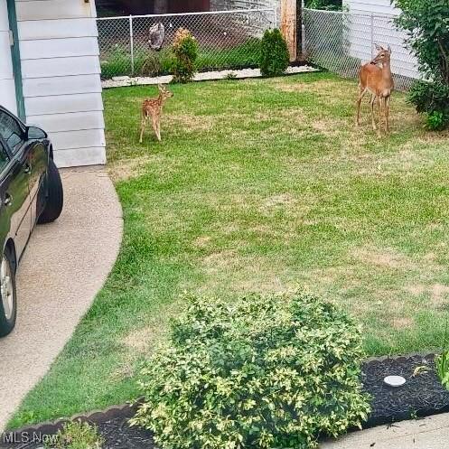 5910 Gerald Ave, Parma, OH 44129 - view of yard