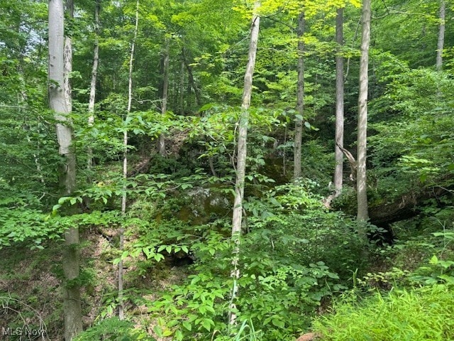 Neff Ridge Rd, Marietta, OH 45773