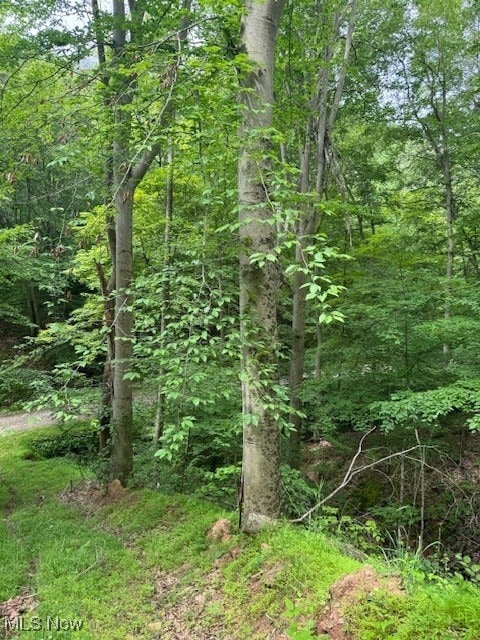 Neff Ridge Rd, Marietta, OH 45773