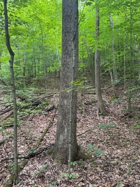Neff Ridge Rd, Marietta, OH 45773