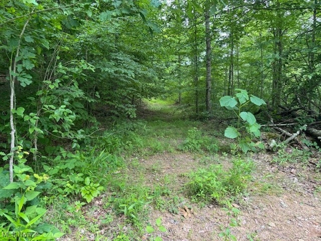 Neff Ridge Rd, Marietta, OH 45773