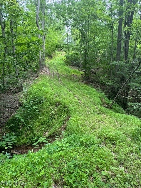 Neff Ridge Rd, Marietta, OH 45773